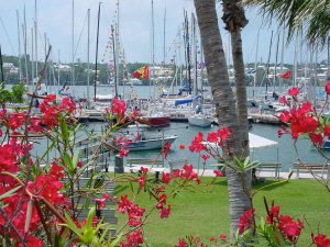 bermuda-race-2004-4-017