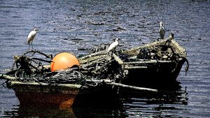 IMG_3554 copy